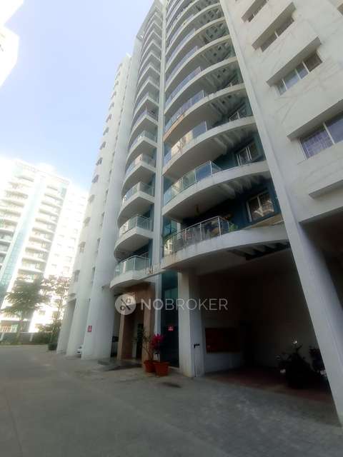 2 BHK Flat In Megapolis Sunway for Rent  In Hinjawadi