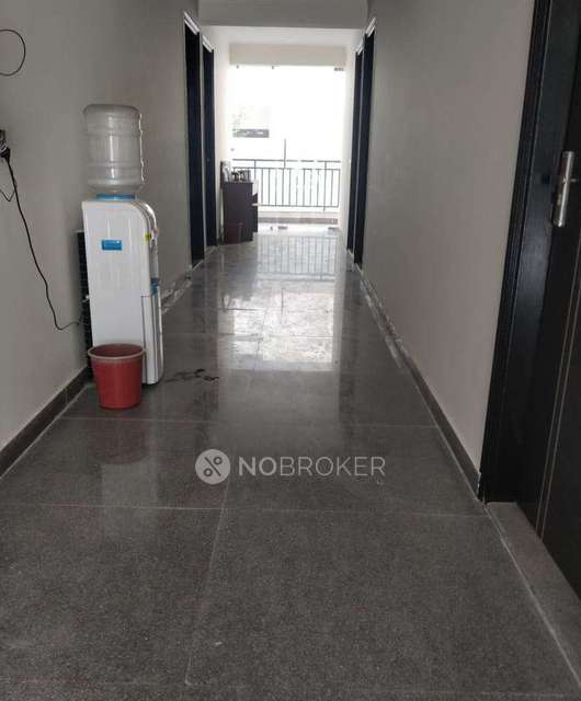 PG for Girls in Sector 14