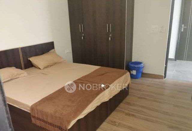 PG for Girls in Sector 14