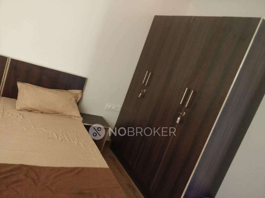 PG for Girls in Sector 14