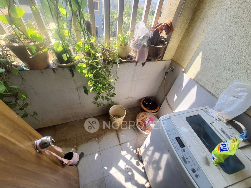 2 BHK Flat In Tierra for Rent  In Wagholi