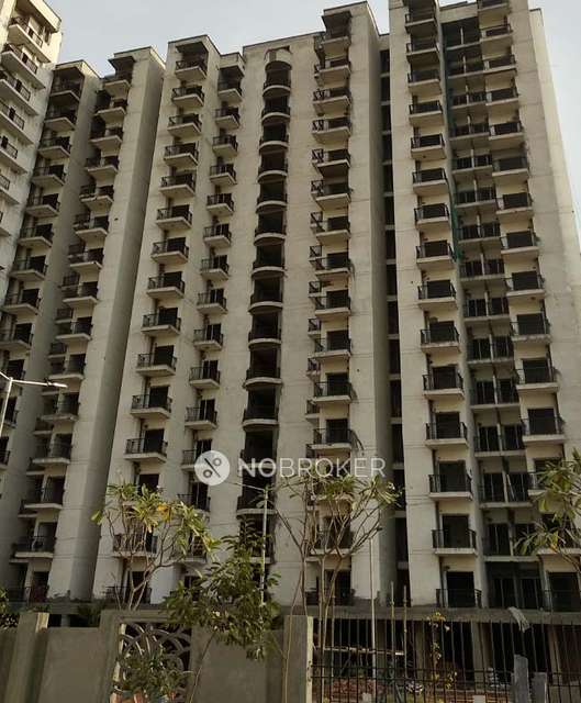 1 BHK Flat In Maxbliss Grand Kingston for Rent  In Sector 75