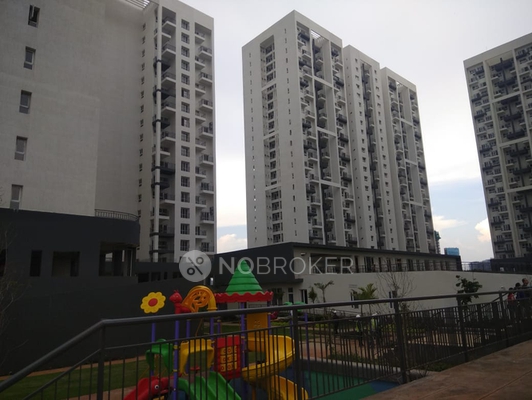 2 BHK Flat In Mjr Platina for Rent  In Kudlu Gate