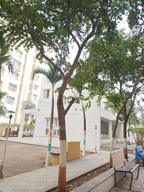 2 BHK Flat In Splendour County for Rent  In Wagholi