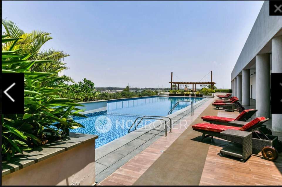 2 BHK Flat In Tata New Haven Apartment For Sale  In Dasanapura