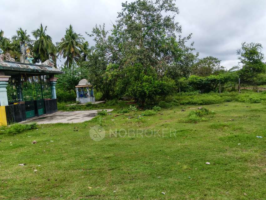 Plot For Sale  In Thellimedu