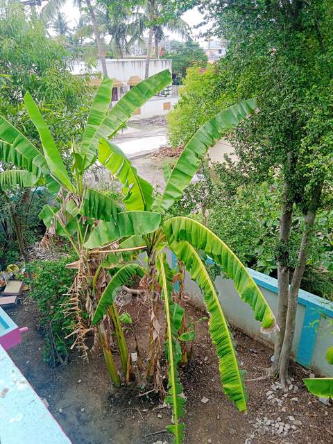 2 BHK House For Sale  In Nandhiyambakkam Railway Station Sub Urban