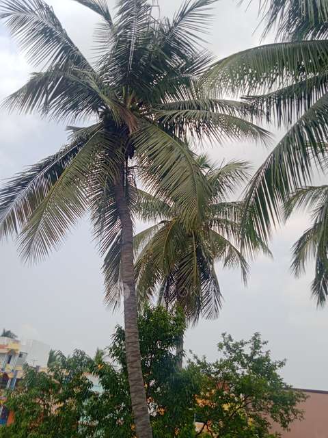 2 BHK House For Sale  In Nandhiyambakkam Railway Station Sub Urban