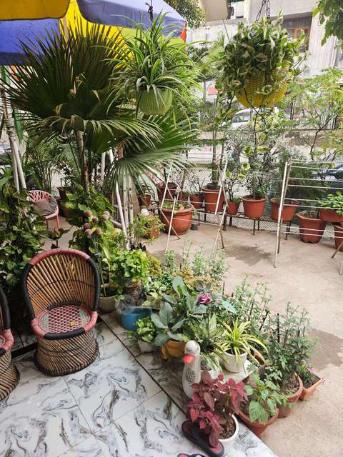 2 BHK Flat In Anupam Apartments For Sale  In Shahdra