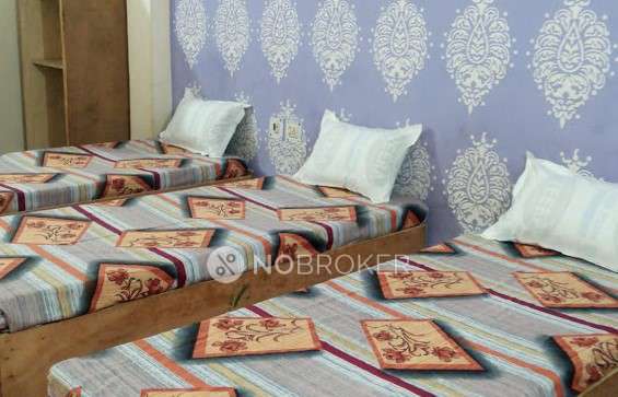 PG for Girls in Sector 15