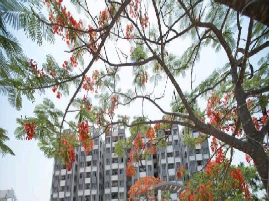 2 BHK Flat In Modi Emerald Heights Phase 1 For Sale  In Annojiguda 