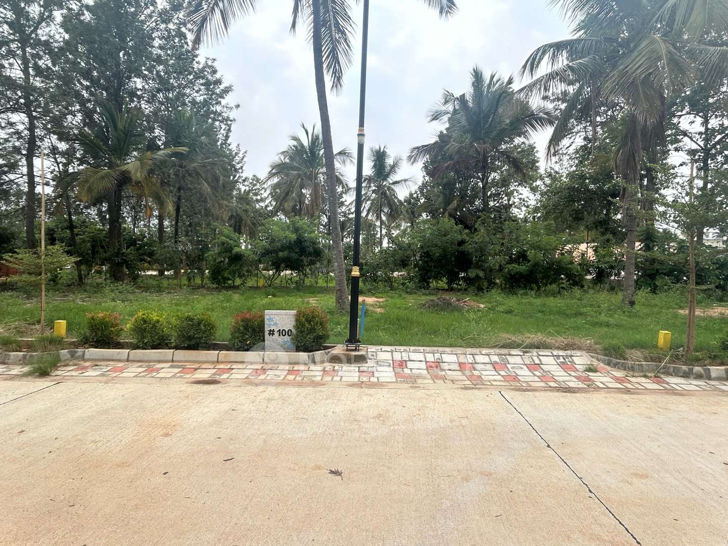 Plot For Sale  In Forest In My Background  In Forest In My Backyard