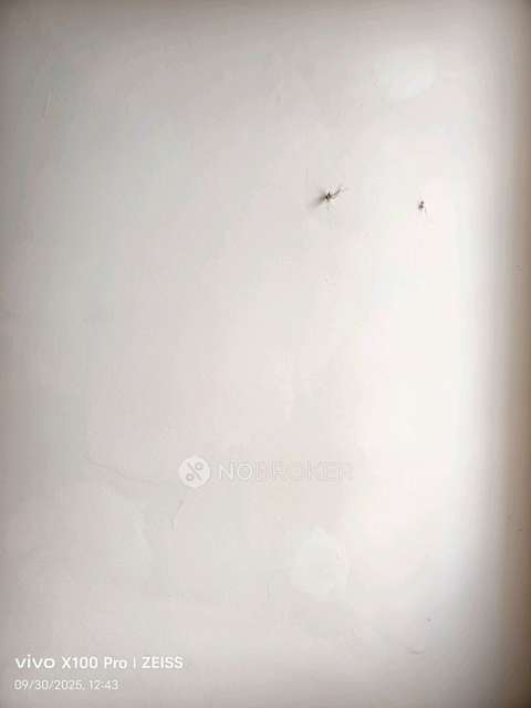 2 BHK Flat In Shriram Smrithi For Sale  In Bidaraguppe