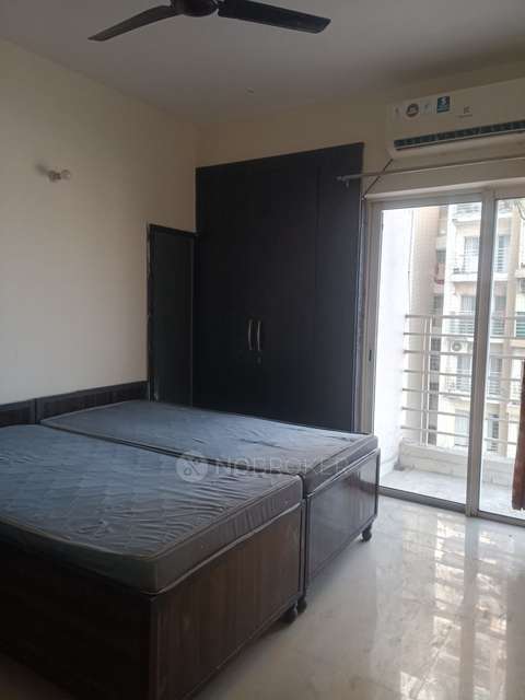 3 BHK Flat In Paras Tierea for Rent  In Sector 137
