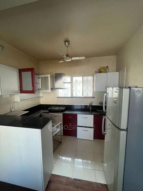 2 BHK Flat In Amba Nagari , Dhanori for Rent  In Dhanori