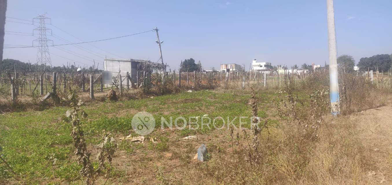 Plot For Sale  In Tavarekere