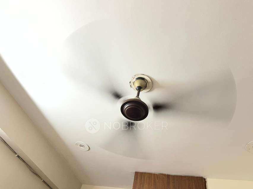 PG for Girls in Sector 33