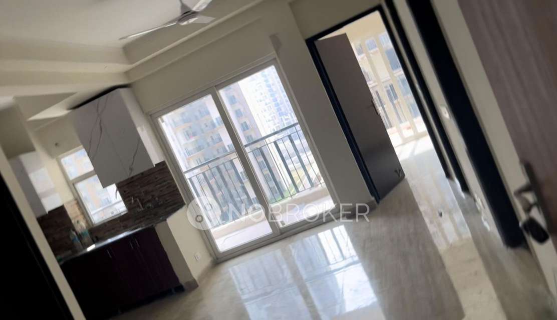 2 BHK Flat In Amrapali Terrace Homes, Noida Extension, Greater Noida for Rent  In Amrapali Dream Valley