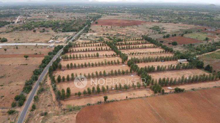 Plot For Sale  In Assets  Rv Harmony Hub In Gowribidanur