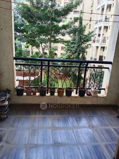 2 BHK Flat In Windsor Maple Woodz for Rent  In Wagholi