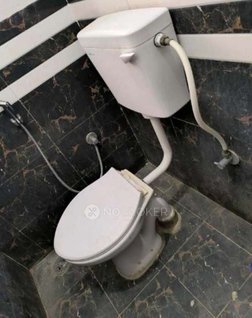 PG for Anyone in Electronic City