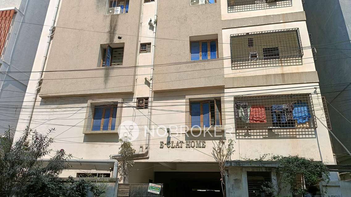 3 BHK Flat In E Clat Homes for Rent  In E Clat Homes