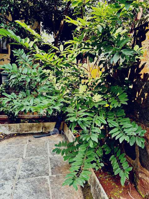 3 BHK House For Sale  In Vadgaon