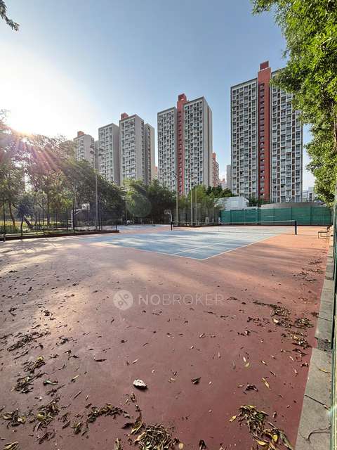 2 BHK Flat In Lodha Belmondo for Rent  In Gahunje