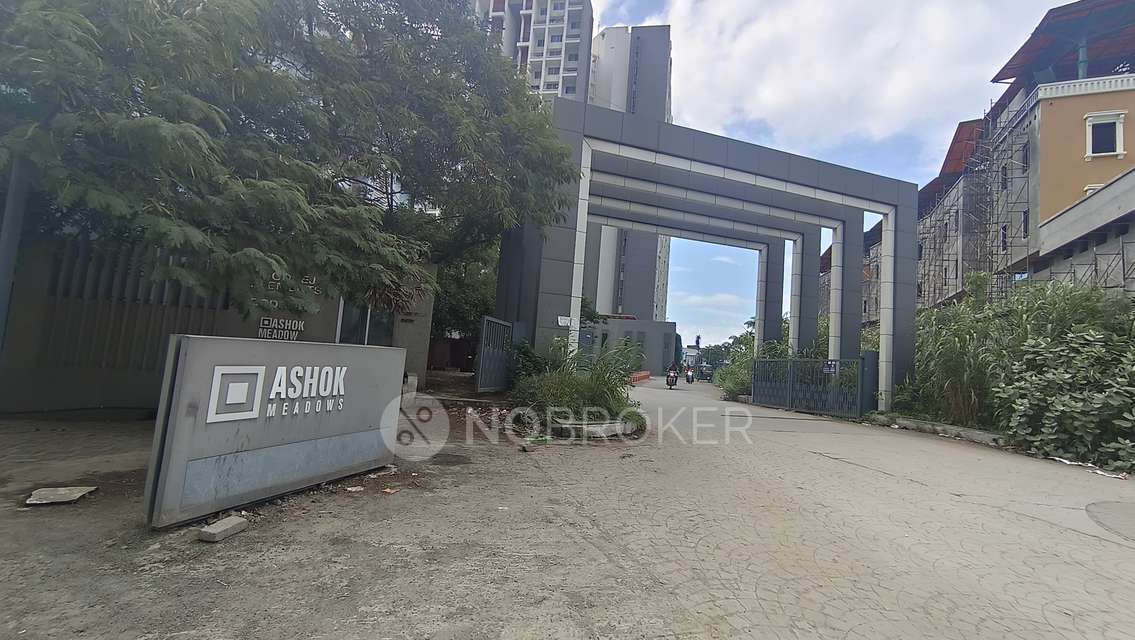 2 BHK Flat In Ashok Meadows for Rent  In Hinjawadi Phase 1
