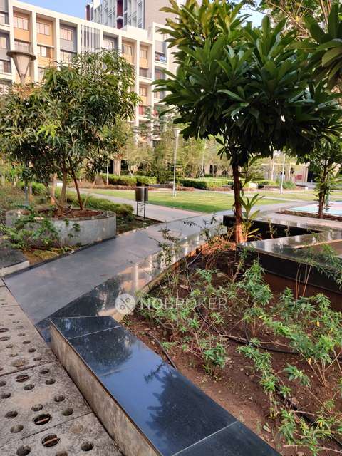 2 BHK Flat In Ashok Meadows for Rent  In Hinjawadi Phase 1