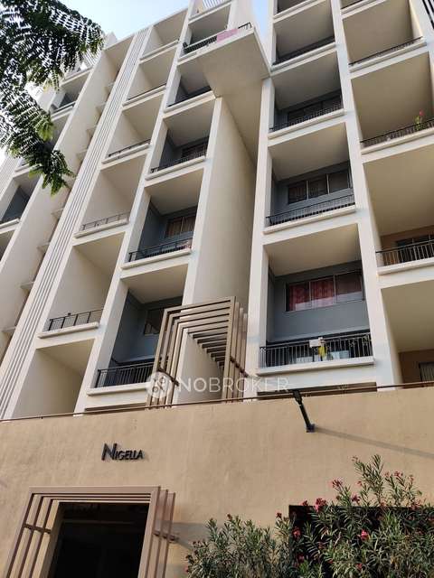 2 BHK Flat In Ashok Meadows for Rent  In Hinjawadi Phase 1