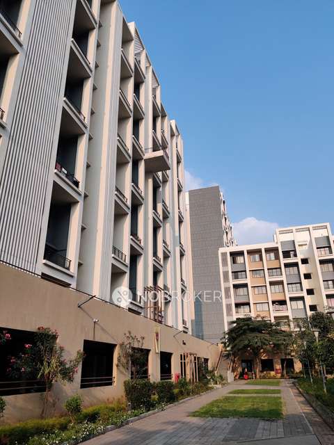 2 BHK Flat In Ashok Meadows for Rent  In Hinjawadi Phase 1