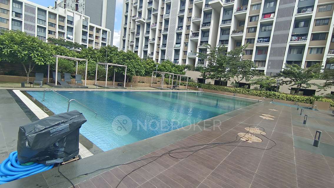 2 BHK Flat In Ashok Meadows for Rent  In Hinjawadi Phase 1