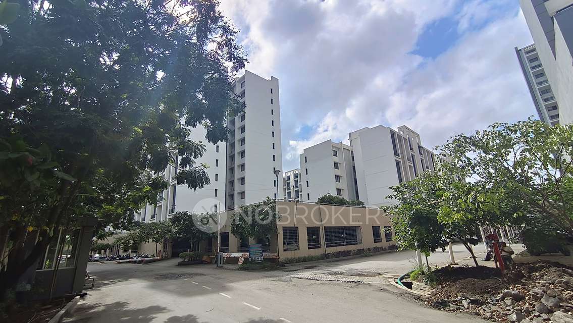 2 BHK Flat In Ashok Meadows for Rent  In Hinjawadi Phase 1