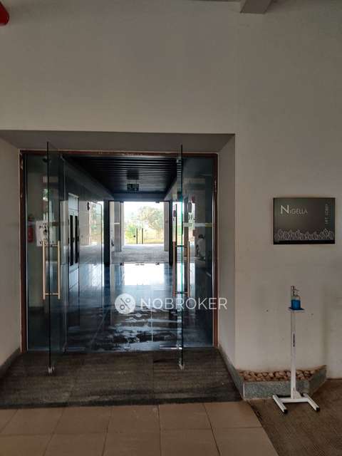 2 BHK Flat In Ashok Meadows for Rent  In Hinjawadi Phase 1