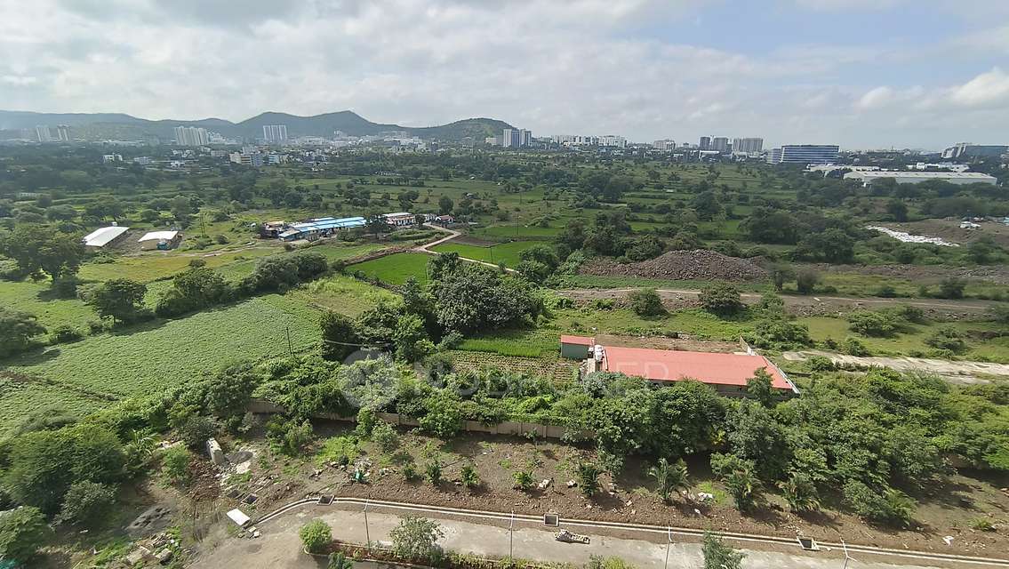 2 BHK Flat In Ashok Meadows for Rent  In Hinjawadi Phase 1