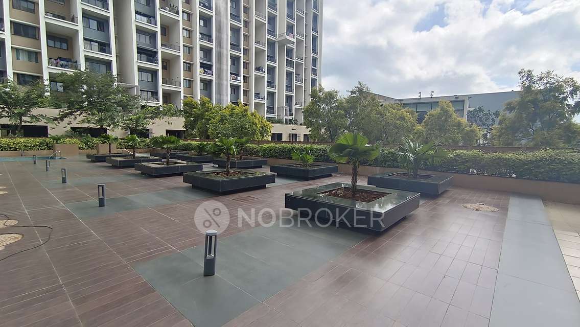 2 BHK Flat In Ashok Meadows for Rent  In Hinjawadi Phase 1