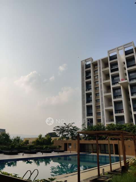 2 BHK Flat In Ashok Meadows for Rent  In Hinjawadi Phase 1