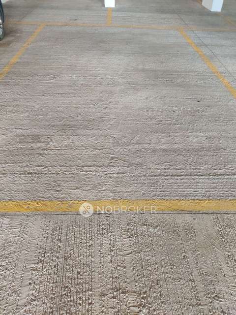 2 BHK Flat In Ashok Meadows for Rent  In Hinjawadi Phase 1