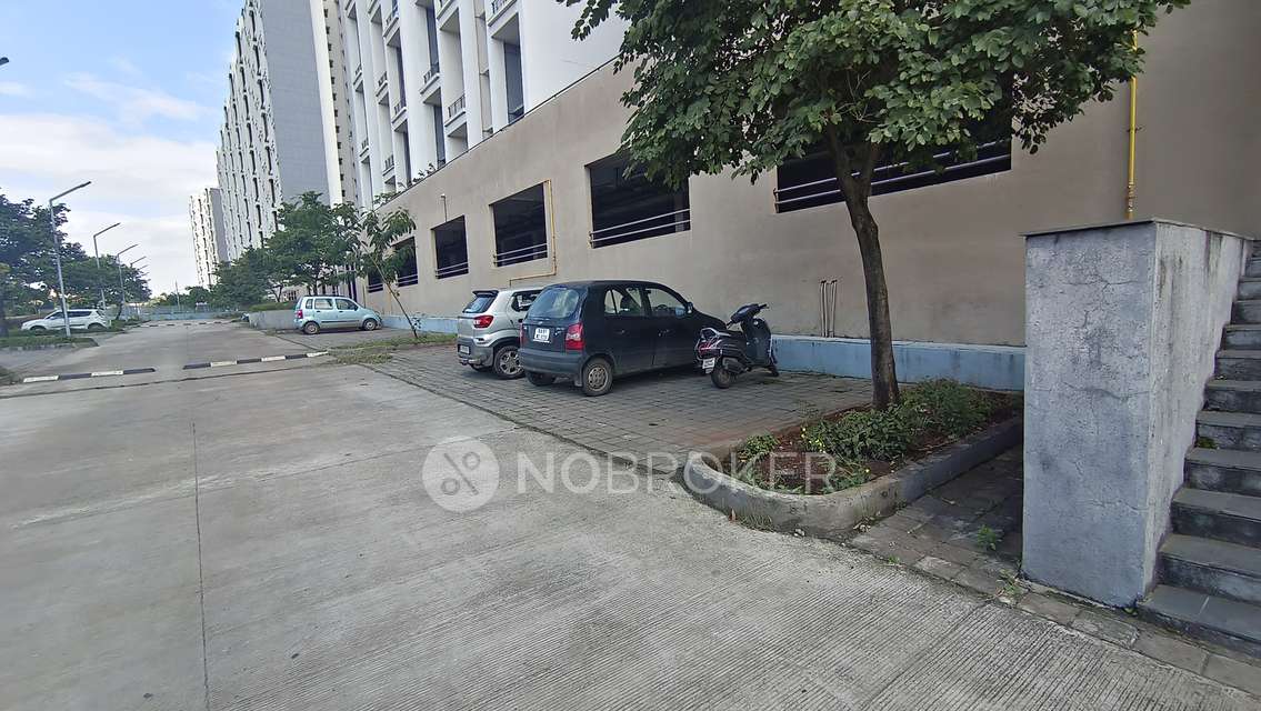 2 BHK Flat In Ashok Meadows for Rent  In Hinjawadi Phase 1