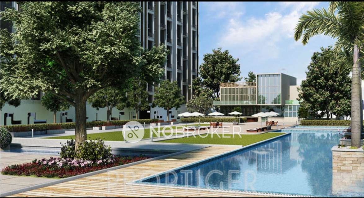 2 BHK Flat In Ashok Meadows for Rent  In Hinjawadi Phase 1