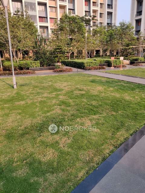 2 BHK Flat In Ashok Meadows for Rent  In Hinjawadi Phase 1