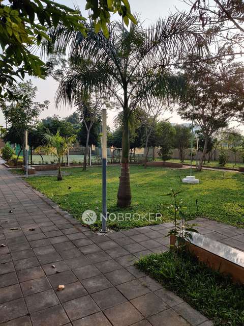 2 BHK Flat In Ashok Meadows for Rent  In Hinjawadi Phase 1