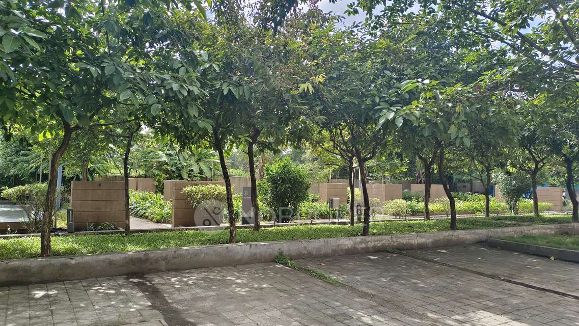 2 BHK Flat In Ashok Meadows for Rent  In Hinjawadi Phase 1