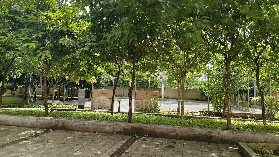 2 BHK Flat In Ashok Meadows for Rent  In Hinjawadi Phase 1