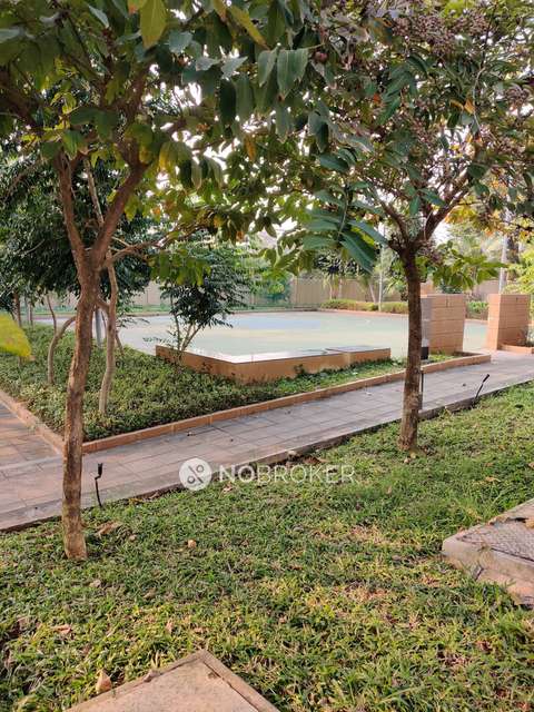 2 BHK Flat In Ashok Meadows for Rent  In Hinjawadi Phase 1