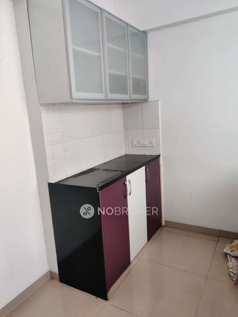 2 BHK Flat In Ashok Meadows for Rent  In Hinjawadi Phase 1