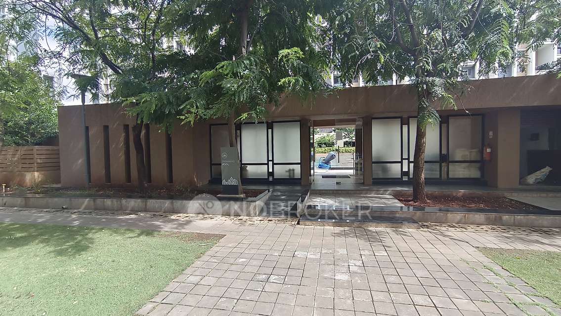 2 BHK Flat In Ashok Meadows for Rent  In Hinjawadi Phase 1