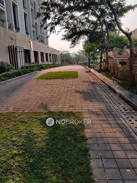 2 BHK Flat In Ashok Meadows for Rent  In Hinjawadi Phase 1