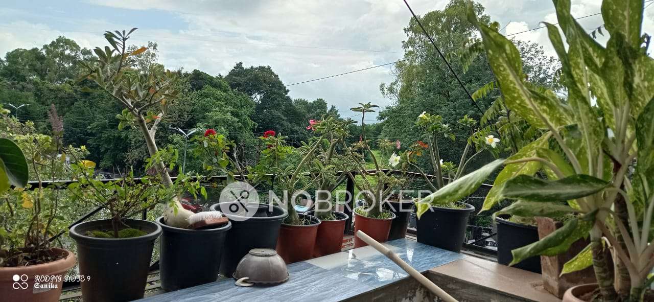 2 BHK Flat In Narhari Smruti Apartment For Sale  In  Anand Nagar